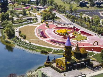 锦绣安仁花卉公园#航拍 #家乡美景