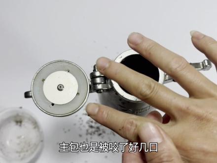 把红火蚁放进爆米花机里面加热会怎么样呢#红火蚁 #红火蚁入侵#爆米花