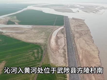 沁河在这里入黄河#黄河#沁河#河南#河南文旅