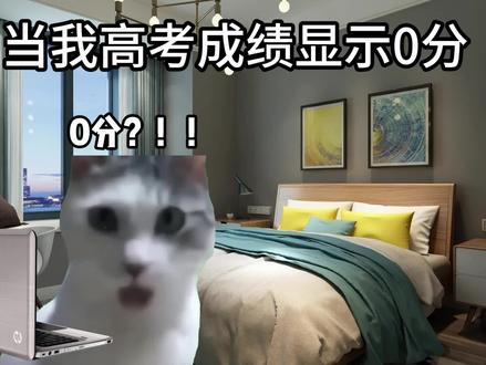 当我高考成绩显示0分 #猫meme