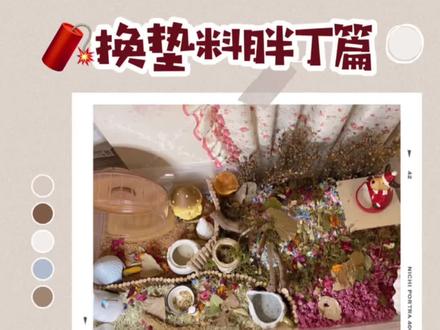 春节快乐提前看~用胖丁的布卡星100基仓鼠笼给她造个景吧#仓鼠 #2021新春日记