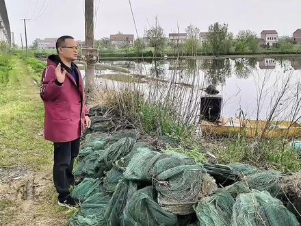旧地笼不上虾,到底是什么原因,今天我来告诉大家,其实很简单。#地笼 #三农流量扶持计划 #小龙虾养殖技术