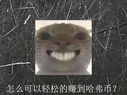 怎么样可以轻松赚取哈佛币 你们的哈佛币都是多少那打在评论区#三角洲 #三角洲鼠鼠 #三角洲跑刀 #三角洲商行