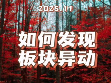 野人哥连线粉丝,讲解如何发现板块异动,自己在板块异动时是如何操作的。#野人哥 #全能的野人 #股民 #股票 #大a @DOU+小助手 野人哥11月直播切片