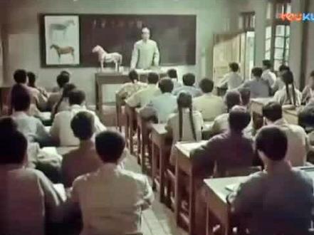 #上热门 马尾巴的功能#再忆经典