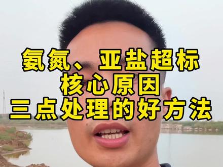 氨氮、亚硝酸盐超标怎么办,三点处理的好方法#水产养殖技术#螃蟹养殖#大闸蟹养殖#三农 #新农人计划2023