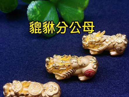 貔貅竟然也分公母,你知道吗#黄金首饰 #冷知识