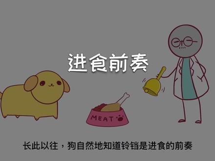 巴甫洛夫的狗实验(经典条件反射实验) #科普