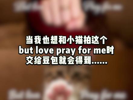 小猫爱你 但小猫不会说出口~快去和你的小猫试试吧~ #AI小猫 #豆包 #我的小猫 #萌宠 #一张照片证明你的猫被你养的很好