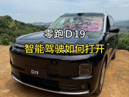 很多车友都问辅助驾驶怎么开启,今天分享给大家#零跑 #零跑D19 #每天分享一个用车知识 #零跑汽车