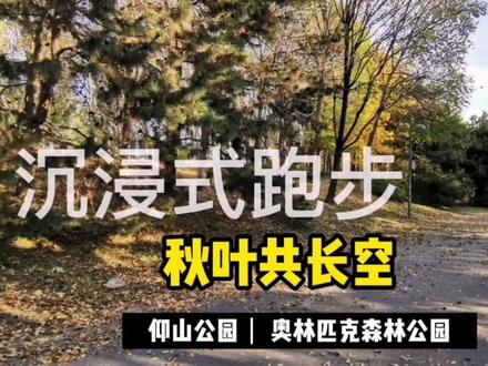 跑步吗?打开跑步机,跟随镜头,一起沉浸在北方绚烂的秋光里,看层林尽染,看彩色随风,Let's go!#跑步 #跑步机#奥林匹克森林公园 #秋叶