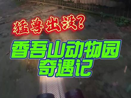 夜骑咸宁香吾山,竟然发现一座宝藏动物园! #香吾山动物园 #夜骑 #都市探险 #骑行vlog #户外的快乐碎片