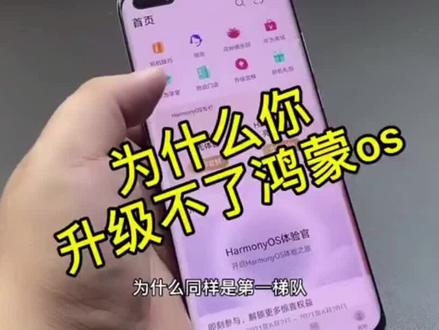 华为P40pro5G升级鸿蒙系统#华为手机 #鸿蒙系统 #手机技巧