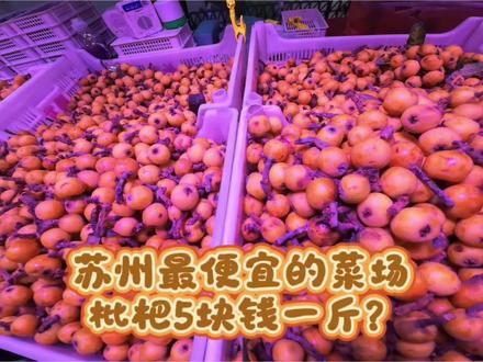 苏州最便宜的菜场,东山枇杷5块钱一斤?太便宜了吧#苏州特色水果 #枇杷 #菜市场 #物价 #苏州最便宜的菜市场