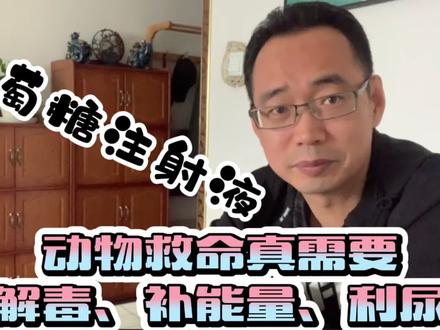 家畜生命虚弱垂危,治疗过程中都会输液葡萄糖,解毒补充能量利尿