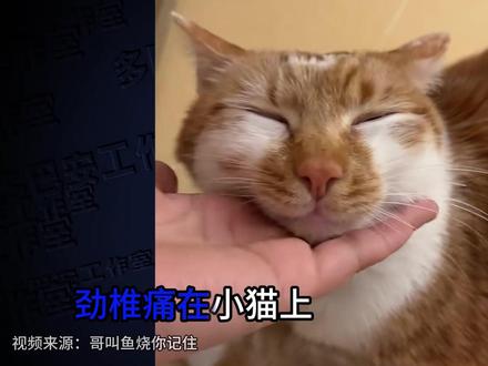 3月火爆全网的热梗,都知道的你网瘾很大了! #搞笑 #梗 #火影忍者 #抽象 #嘎嘎滴辣虾