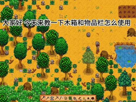 星露谷物语 背包和箱子以及时间和体力介绍#星露谷新手教程