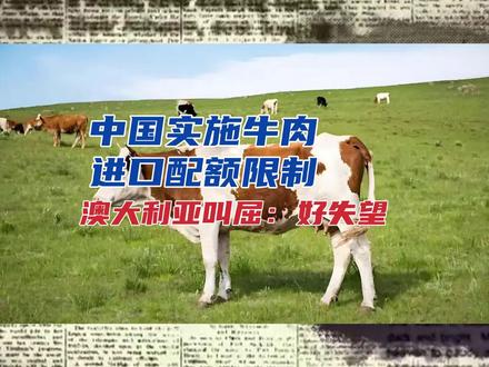 中国实施牛肉进口配额限制,澳大利亚叫屈:好失望 #经济 #粮食安全 #国际局势 #商业思维 #全球创作者计划