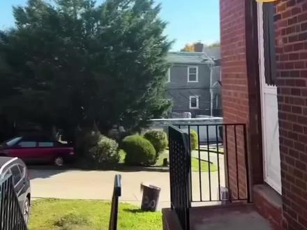 这期增加了红包数量 每一个红包不止有现金还有免单券 大家快找起来吧!拍视频找红包找到的金额翻倍哦!#沈阳师范大学 #沈北新区