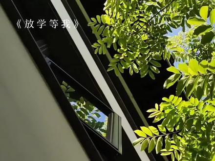 “没学别人……也没耍你”|音频自剪🈲用|#放学等我