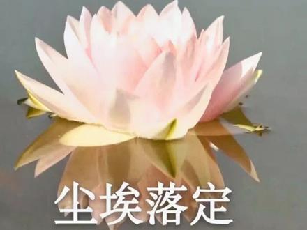 许星洲寻死时十分冷酷并神经质,她能在手腕同一个地方割三次,能用一管中华牙膏的铁皮将手腕割得鲜血淋漓#每日推文
