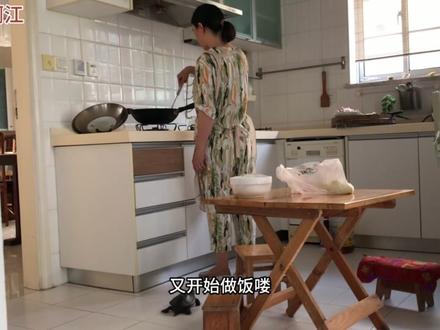 有灵性的乌龟,只认女主人和她的东西,其他家人如何喂它还是不亲 #乌龟比赛 #养龟日记 #墨龟 #乌龟喂食 #我的宠物 #乌龟 #中华草龟