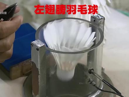 最好的羽毛球必须要用左翅膀的鹅毛,你不知道把!#科普 #涨知识 #羽毛球