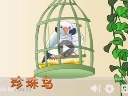 五年级上册第四课珍珠鸟