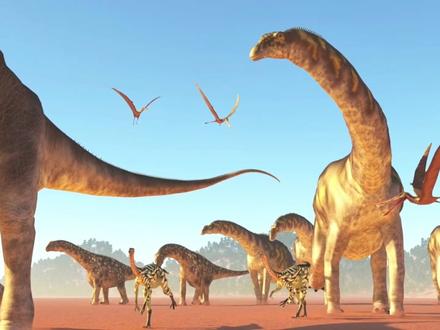 阿根廷龙 ,一个违反了物理学和生物学的生物,堪称进化的奇迹 #科普 #阿根廷龙 #科普知识 #史前生物