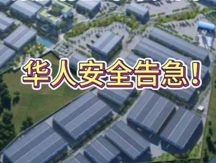 #坦桑尼亚#海外华人 #非洲#非洲经商风险警示 #在非洲打拼的中国人