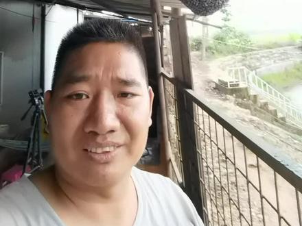 小排蜂,之前的雨天取蜜,造成了偏蜂,现在进行抢救,强弱互补技术,看到就学到喽!#蜜蜂养殖技术分享 #记录真实生活 #养蜂人 #大自然的搬运工 #我是养蜂人 @抖加热门