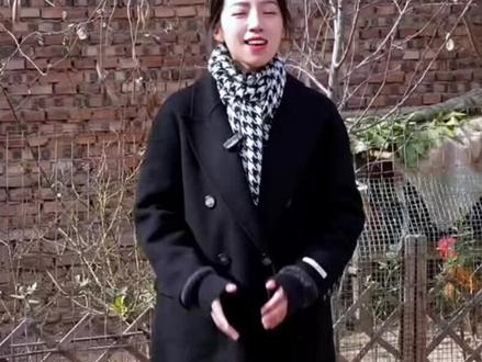 麦小登一年能赚多少钱#麦小登