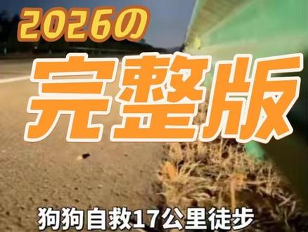 七只狗17公里回家路#七只狗#17公里#自救#被抓#咬破笼子完整版