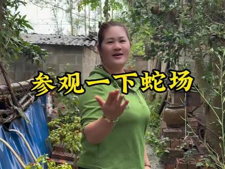 养蛇养殖户为什么养蛇#蛇油 #蛇 #养蛇小芳 #养蛇 #农村生活记录