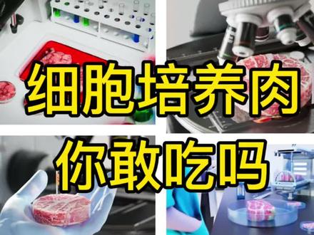 细胞培养肉你敢吃吗#营养健康 #食品安全#农业科技