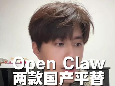 两款Open Claw国产平替“ai助理”雏形产品#AI