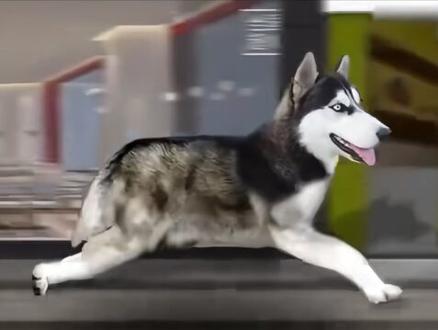 我拿嘎子当童年,嘎子拿我当龟田#嘎子