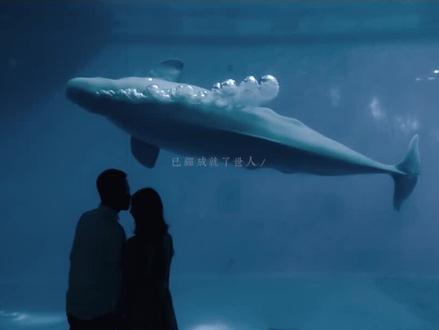 前奏封神!周杰伦这首歌也太适合这个婚纱MV了吧!一定要和爱的人打卡这样的“水族馆婚纱照”,真的太梦幻了!#婚纱旅拍mv #婚纱照