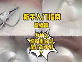 #烘焙新手入门 指南 你的蛋白还打发不好吗?
