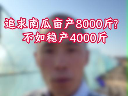 追求南瓜亩产8000斤?不如稳产4000斤#南瓜种植 #农业种植 #高产秘诀 #种植技术 #新农人计划
