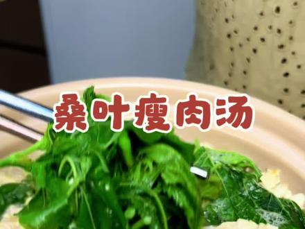 春天季节桑叶好嫩,瘦肉咸蛋煮桑叶对身体有好处,过了季节不好吃了#桑叶 #食疗小妙招 #养生美食小知识