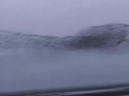 记录2025.12东营游记
2025年12月6日下午五点十七分,鸟浪开始出现,从最远处的一团乌云,不断幻化着阵型向人们飞进,慢慢越来越大,越来越清晰,最终飞到你的头顶,犹如一张密密麻麻的网一样,人们沉浸在鸟浪的震撼里,那些价值几十万的长枪短炮不断闪烁着快门,替看不到的人们抹平遗憾。(鸟浪看的人多,但不要太过担心,可以稍微早点,我们四点十分到,到了还有停车位,我们走了一条不同的路,正好在路的另一端到达,观完鸟浪走的时候也不是很费劲,我感觉比张店下班时的堵车好一万倍,七八分钟就完全畅通了)
来看鸟浪的人们好多都是远道而来,核桃还交了一个天津的朋友,淄博烧烤火了以后,出门再说淄博,大家对这个地方多了好多了解,仿佛他不是一个单纯的地名,每到这时,作为一个祖祖辈辈生活在淄博的人,也多了些与有荣焉的感觉,更觉得自己要做好淄博名片了。回到市里买面包碰到个东营大姐,跟我说他们当地人都不去看鸟浪,说孩子一放寒假要去淄博玩,去唐庄转转。我给孩子推荐了几个我觉得比较好吃的地方,那个孩子明显眼神里多了好多兴奋和期待。旅游嘛,就是从你待腻的地方去到别人待腻的地方,只要没看过就都是风景,没玩过的都是远方。挺好的,东营挺好,下次再来#晚霞 @法内狂徒 #冬季 #东营鸟浪 #东营鸟浪位置