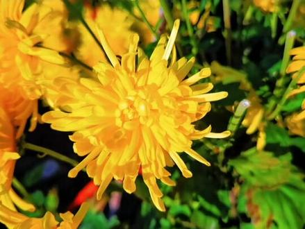 济南出发徽州自驾攻略,觉得好的帮忙点个赞#泉城自驾 #旅行 #徽州