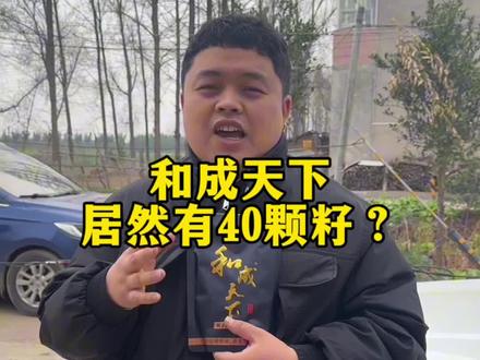 竟然还有40颗的和100?#槟榔 #和成天下 #湖南