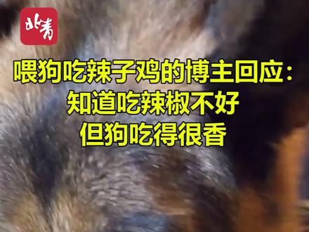 喂狗吃辣椒引争议 视频博主回应:知道吃辣椒不好,但狗吃得很香