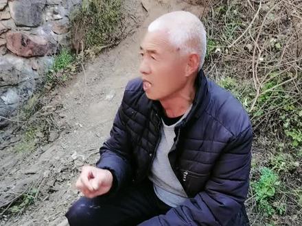 77年梦见青龙老人说是他自己亲自抱出来的👍👍👍👍👍👍
