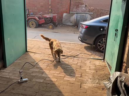 家里不方便安装充电桩的可以用这个3500瓦的随车充,免接地,随车随充,太方便了#新能源充电枪 #免接地线充电枪 #3500瓦随车充 #家用随车充 #免接地随车充