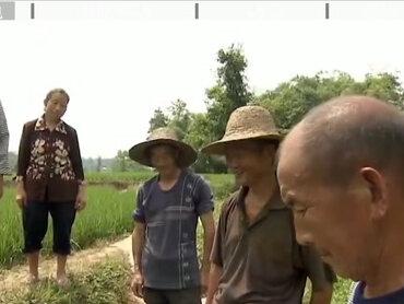日本花15亿租山东1500亩地,却任其荒废五年,这背后有何居心?