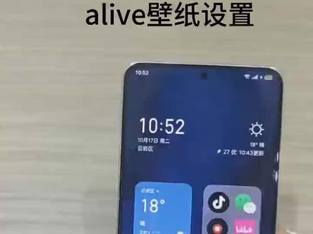 Alive壁纸设置手把手教学!#魅族 #魅族20 #壁纸 #alive#flyme10