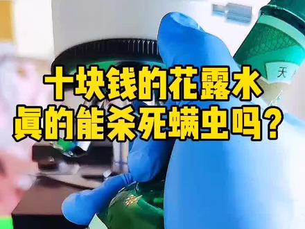 当花露水遇到螨虫之后#显微镜 #除螨 #万万没想到